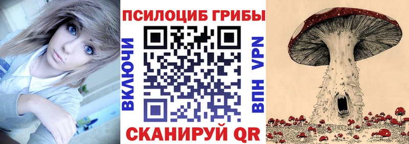 Галлюциногенные грибы Cubensis Мурино